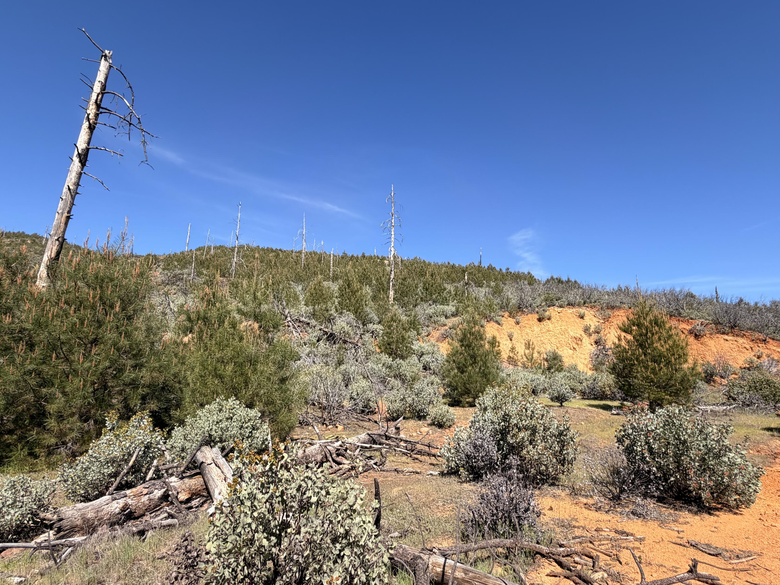 Iron Mountain Road Redding, CA 96001 - Photo 20 of 34 IMG_7150