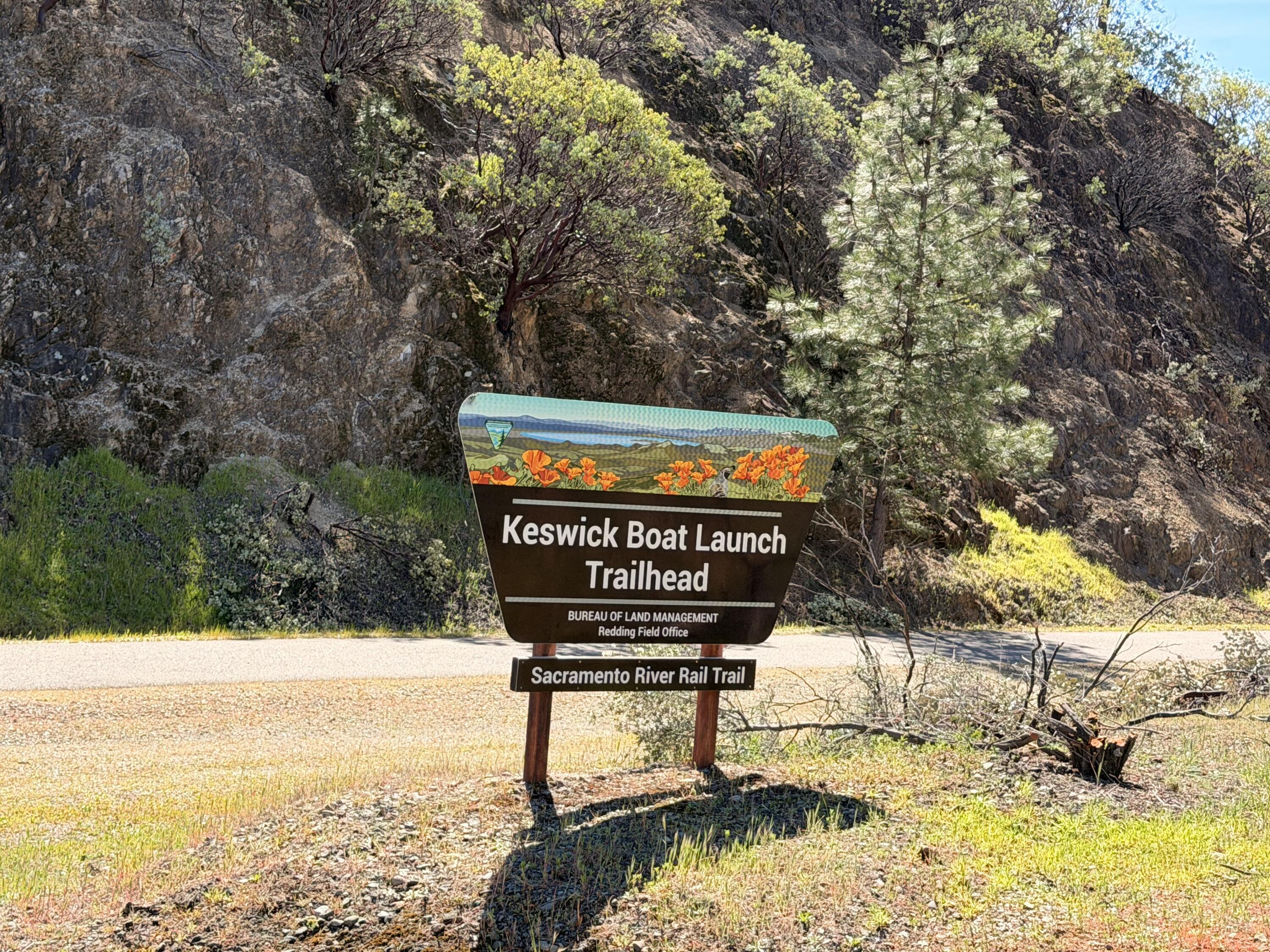 Iron Mountain Road Redding, CA 96001 - Photo 25 of 34 IMG_7166