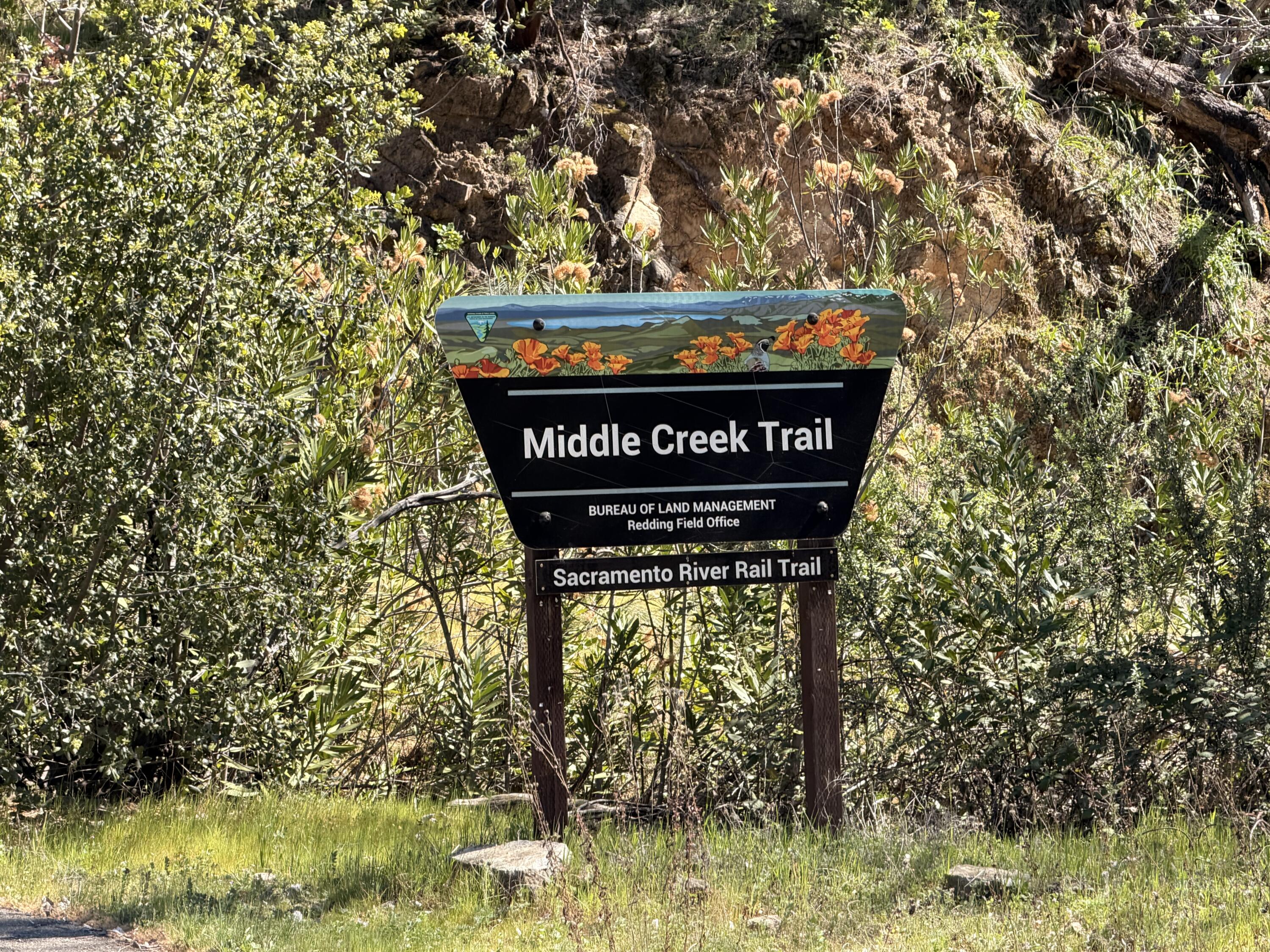 Iron Mountain Road Redding, CA 96001 - Photo 28 of 34 IMG_7173