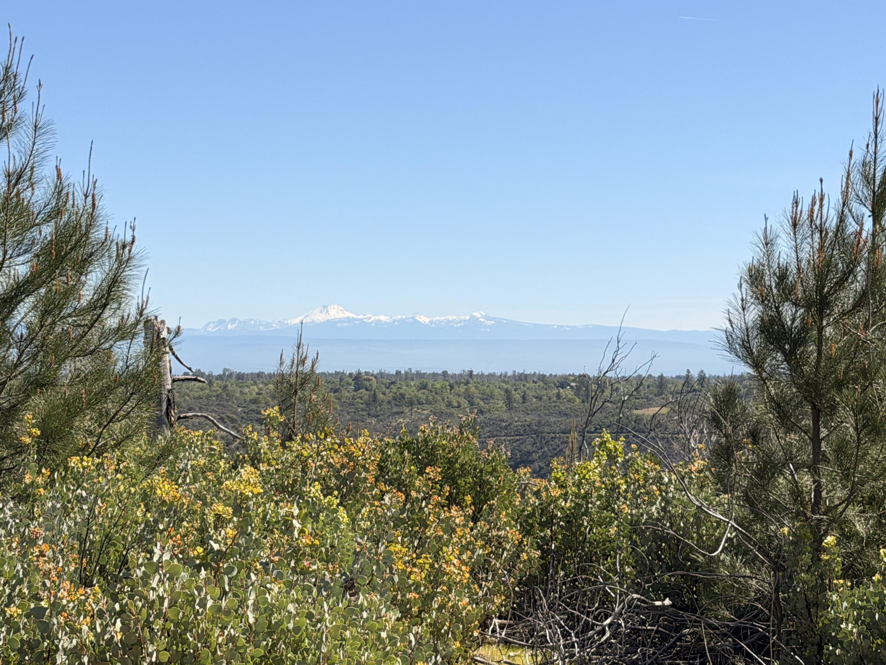 Iron Mountain Road Redding, CA 96001 - Photo 5 of 34 IMG_7147