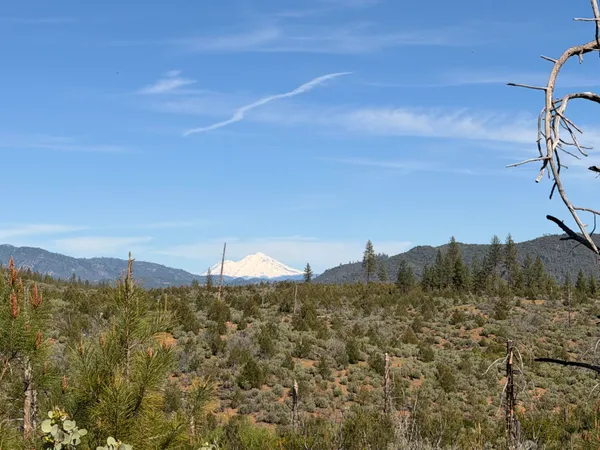 a view of a lake with a mountain