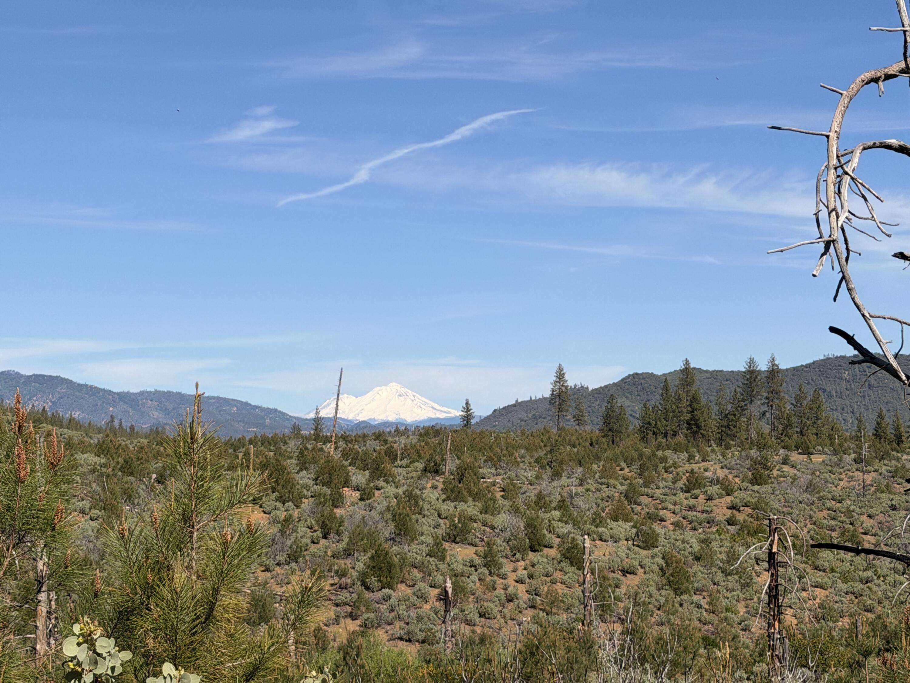 Iron Mountain Road Redding, CA 96001 - Photo 9 of 34 IMG_7158