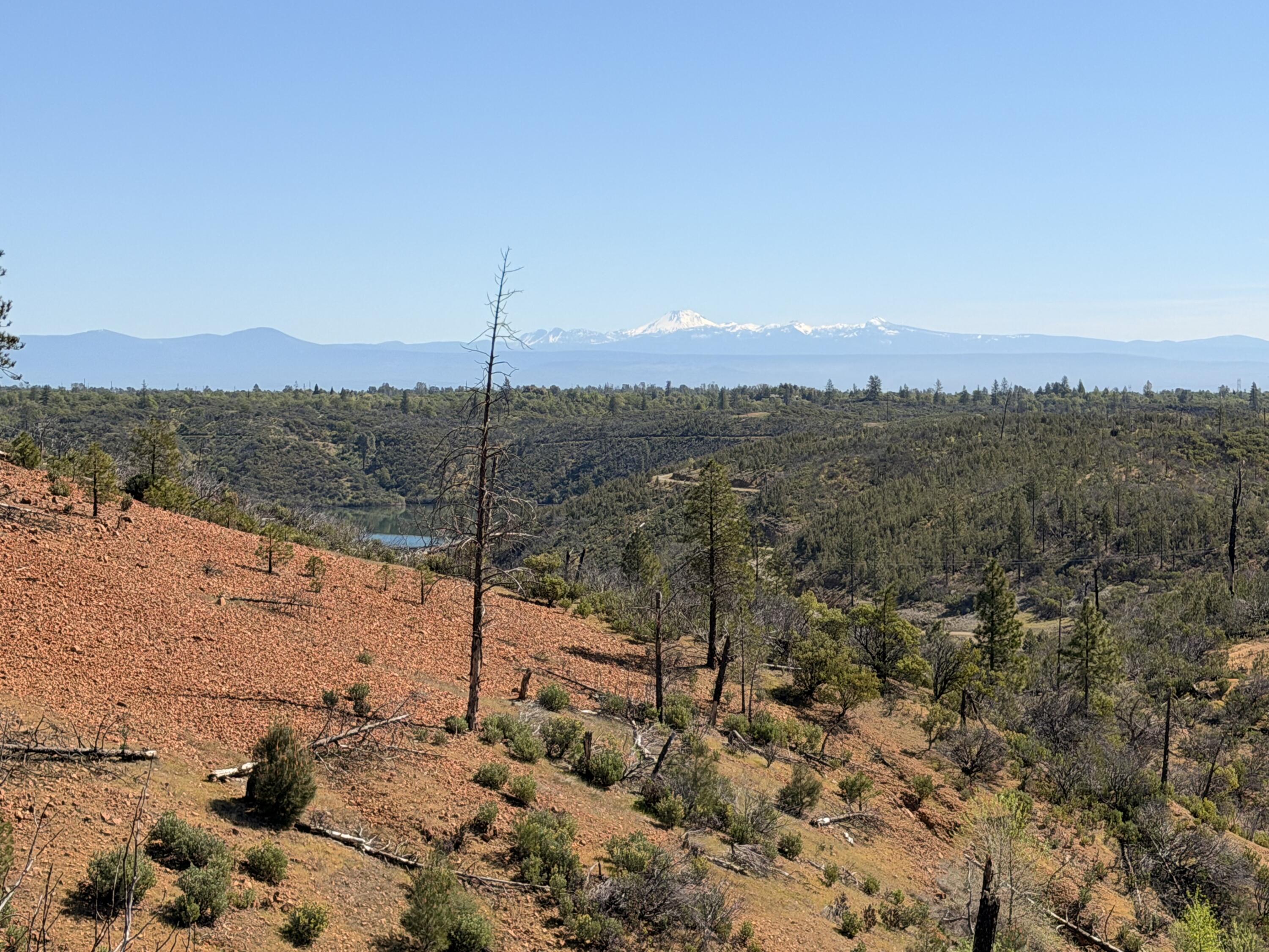 Iron Mountain Road Redding, CA 96001 - Photo 10 of 34 IMG_7130