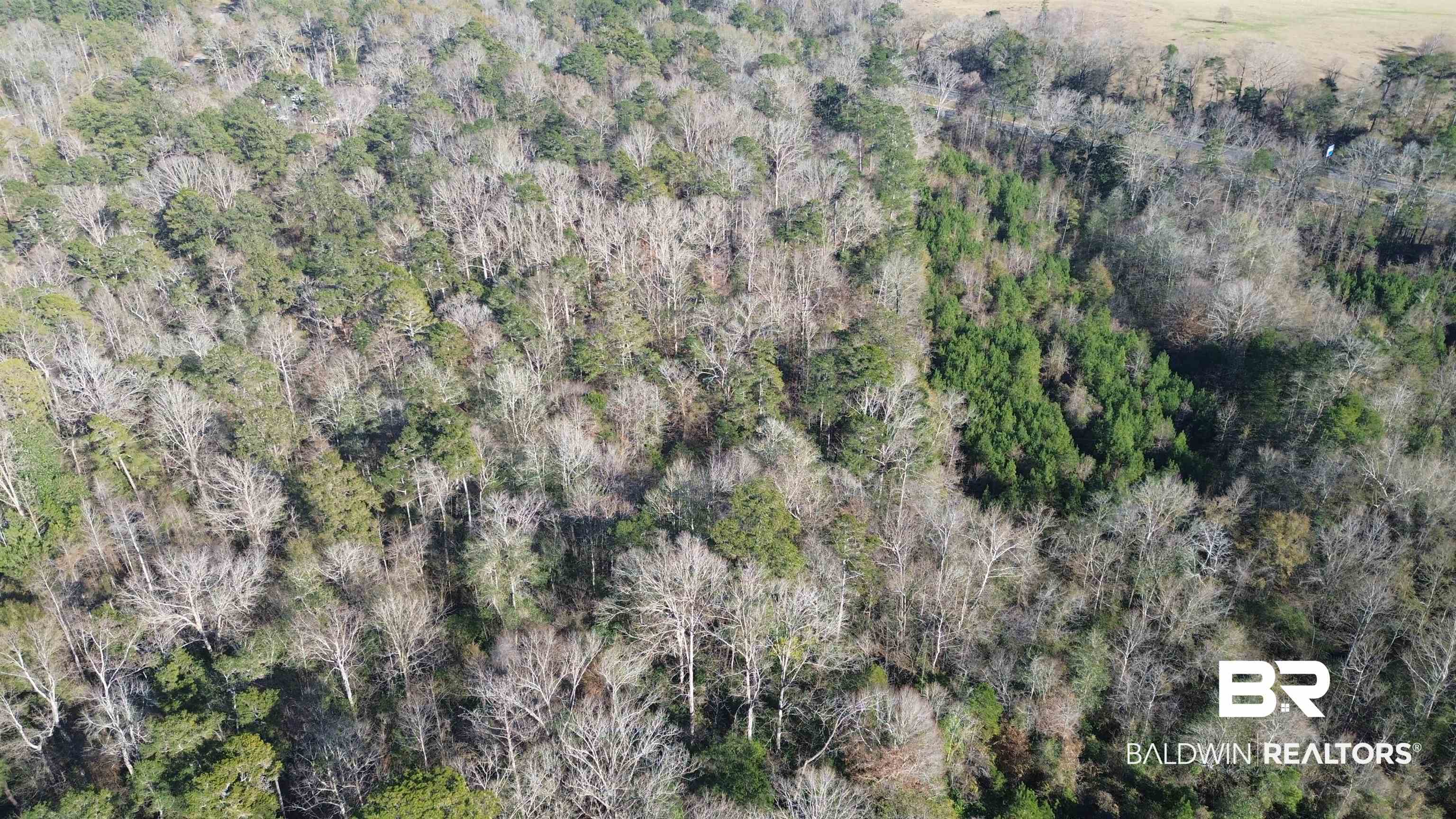 756 Ted Bates Road Evergreen, AL 36401 - Photo 24 of 28 Birds eye view of property