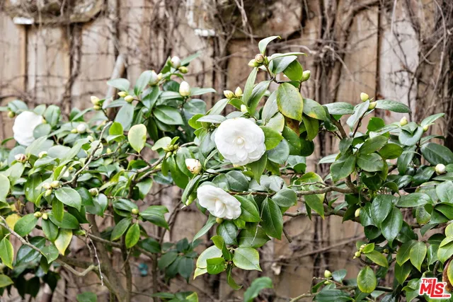 a front view of a house with a garden and tree
