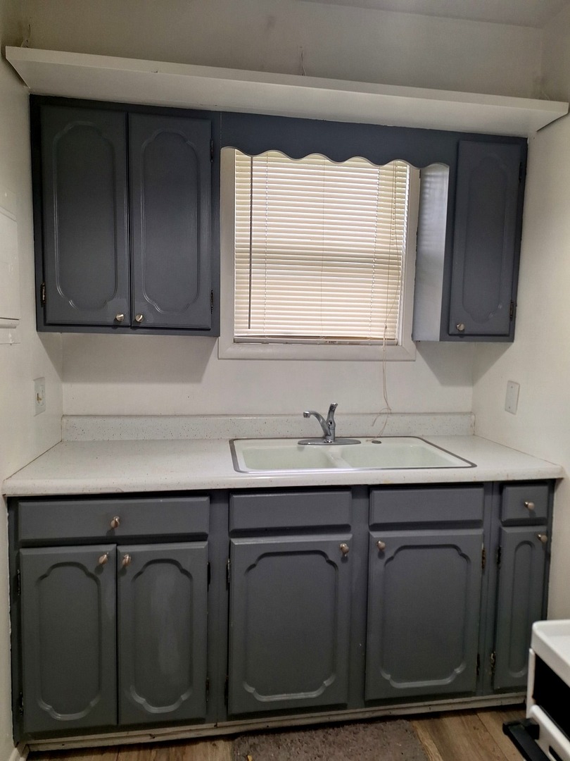 214 South Bloomington Street, Unit 3 Streator, IL 61364 - Photo 5 of 10 a sink with wooden cabinets