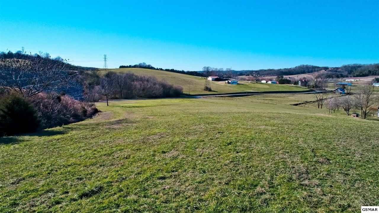 64 Upper West Road Parrottsville, TN 37843 - Photo 11 of 34 Gallery Image 11