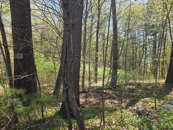 $30,000 | Lot 2 Beacon Street, Orange, MA 01364