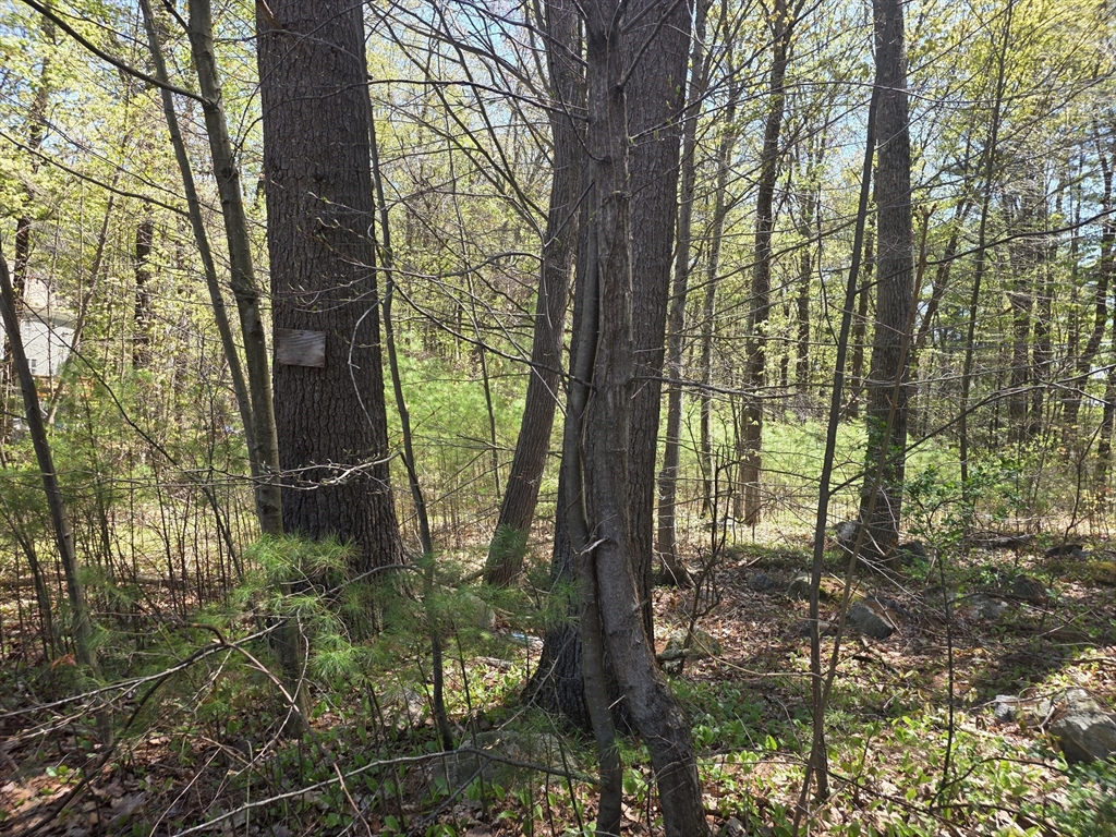 Lot 2 Beacon Street Orange, MA 01364 - Photo 2 of 4