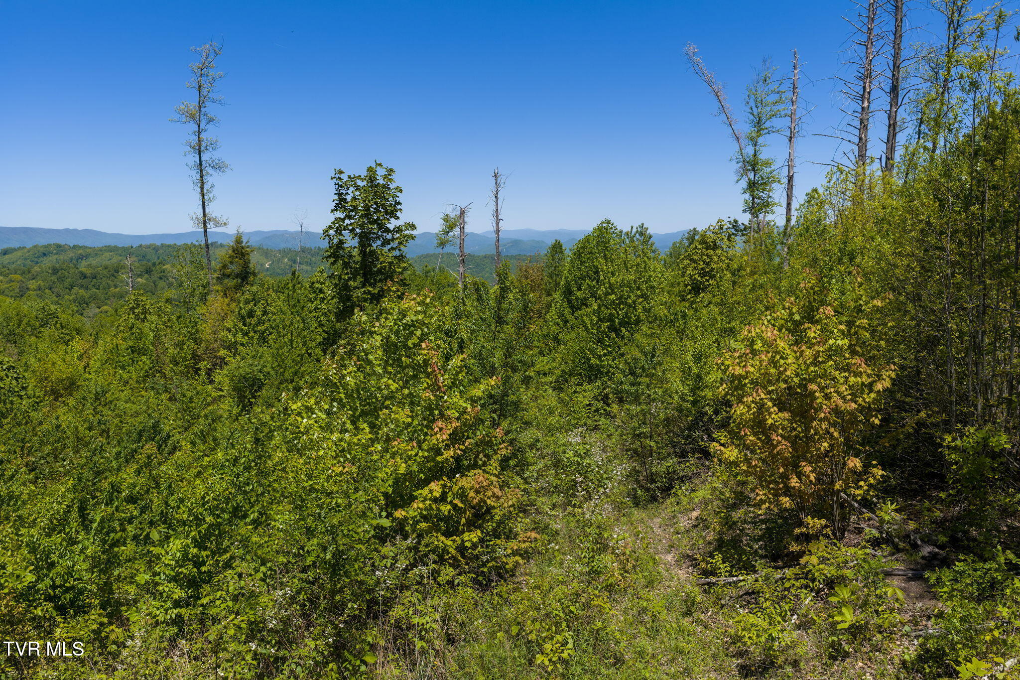 Tbd Walnut Mountain Road, Unit TBD Butler, TN 37640 - Photo 4 of 22 13-web-or-mls-DJI_20260512141835_0710_D