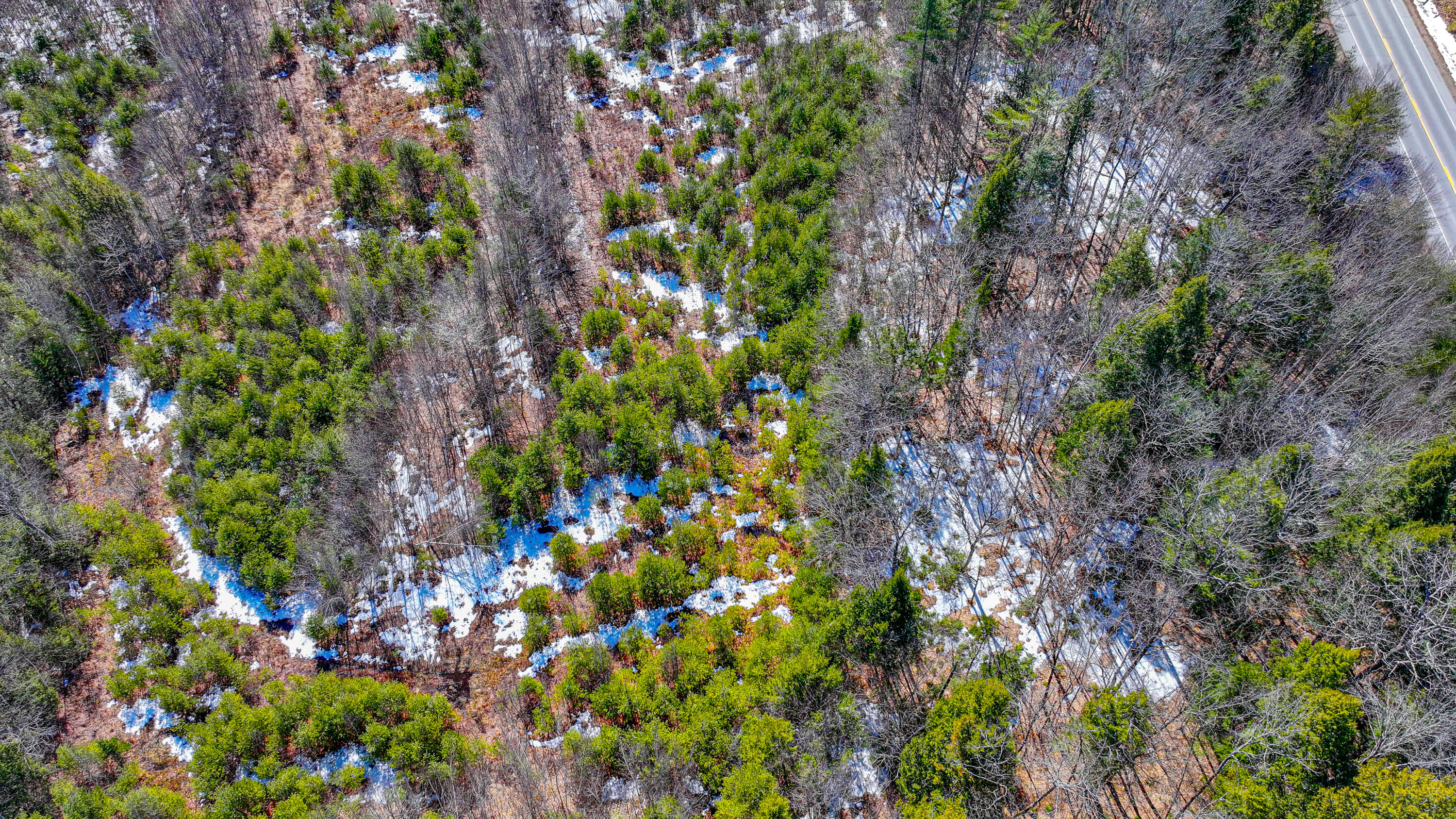 1 A Street Fryeburg, ME 04037 - Photo 7 of 9 fryeburg land 3-27-2026-35