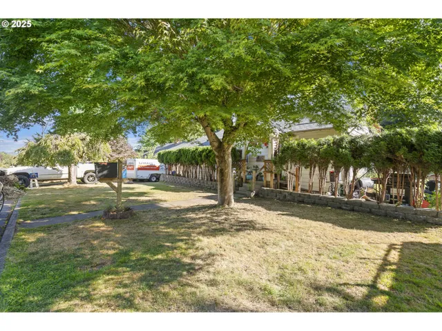 a view of yard with tree
