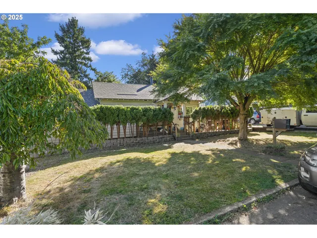a view of a yard with plants and a bench