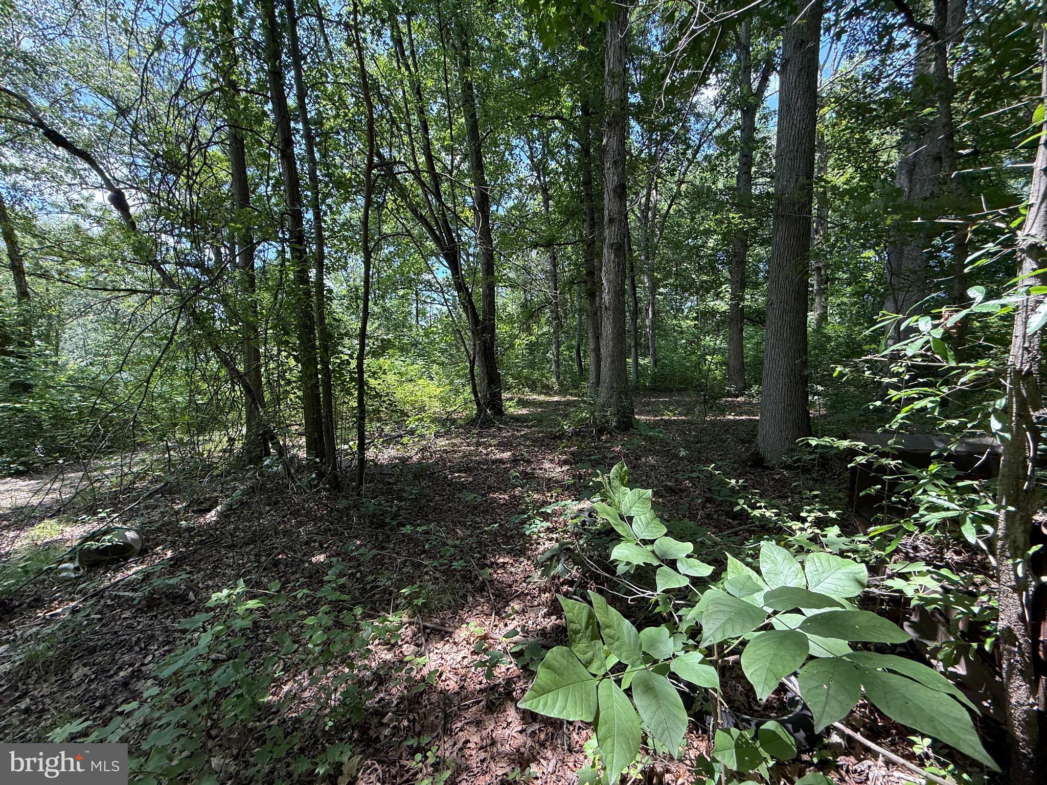 Spesutia Road Aberdeen, MD 21001 - Photo 3 of 10 a backyard of a house with lots of green space