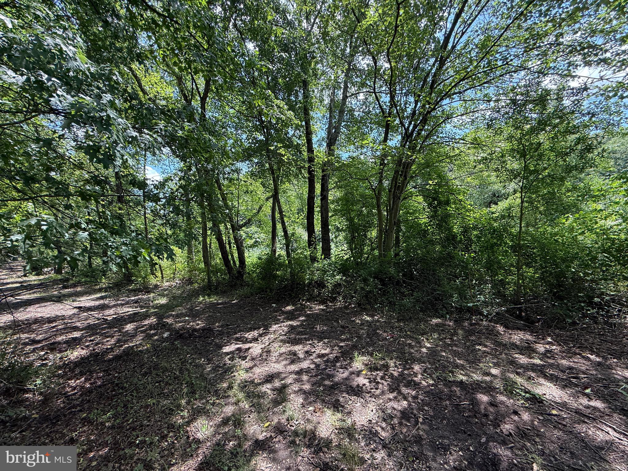 Spesutia Road Aberdeen, MD 21001 - Photo 4 of 10 a view of a forest with trees