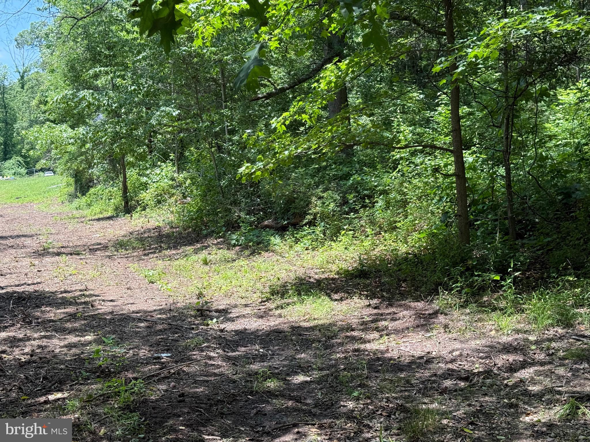Spesutia Road Aberdeen, MD 21001 - Photo 7 of 10 a big yard with lots of green space