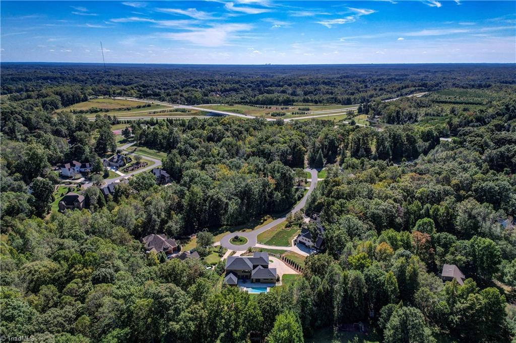 6307 Alley Ridge Way Summerfield, NC 27358 - Photo 47 of 50