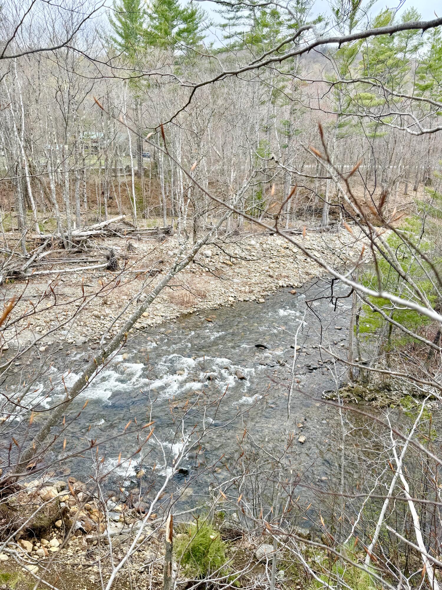 Lot 2 Mooseley Ridge Road Phillips, ME 04966 - Photo 24 of 24