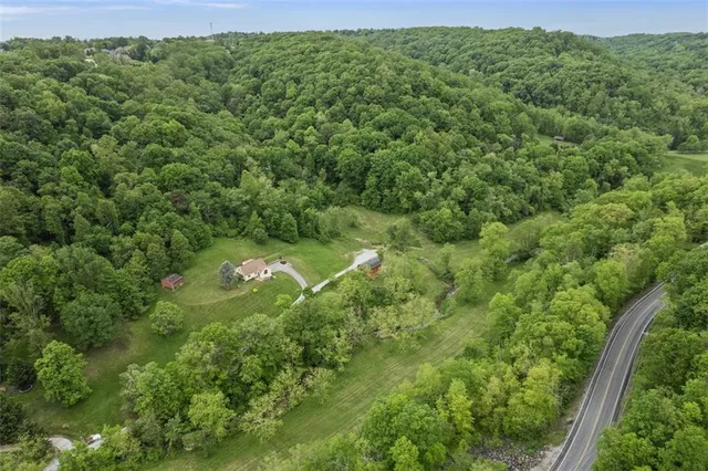 a view of a green field with lots of bushes