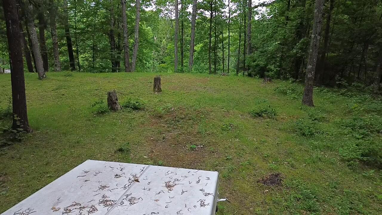 South Woods Road Branch, MI 49402 - Photo 4 of 14 vacant.lot