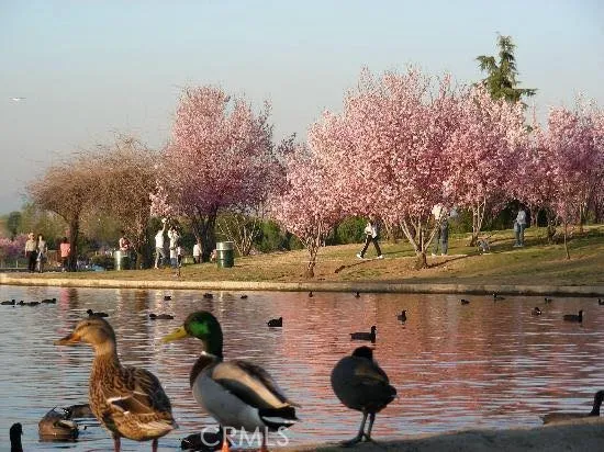 $989,000 | 7406 Haskell Avenue, Van Nuys, CA 91406