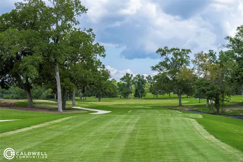 a view of a park with large trees