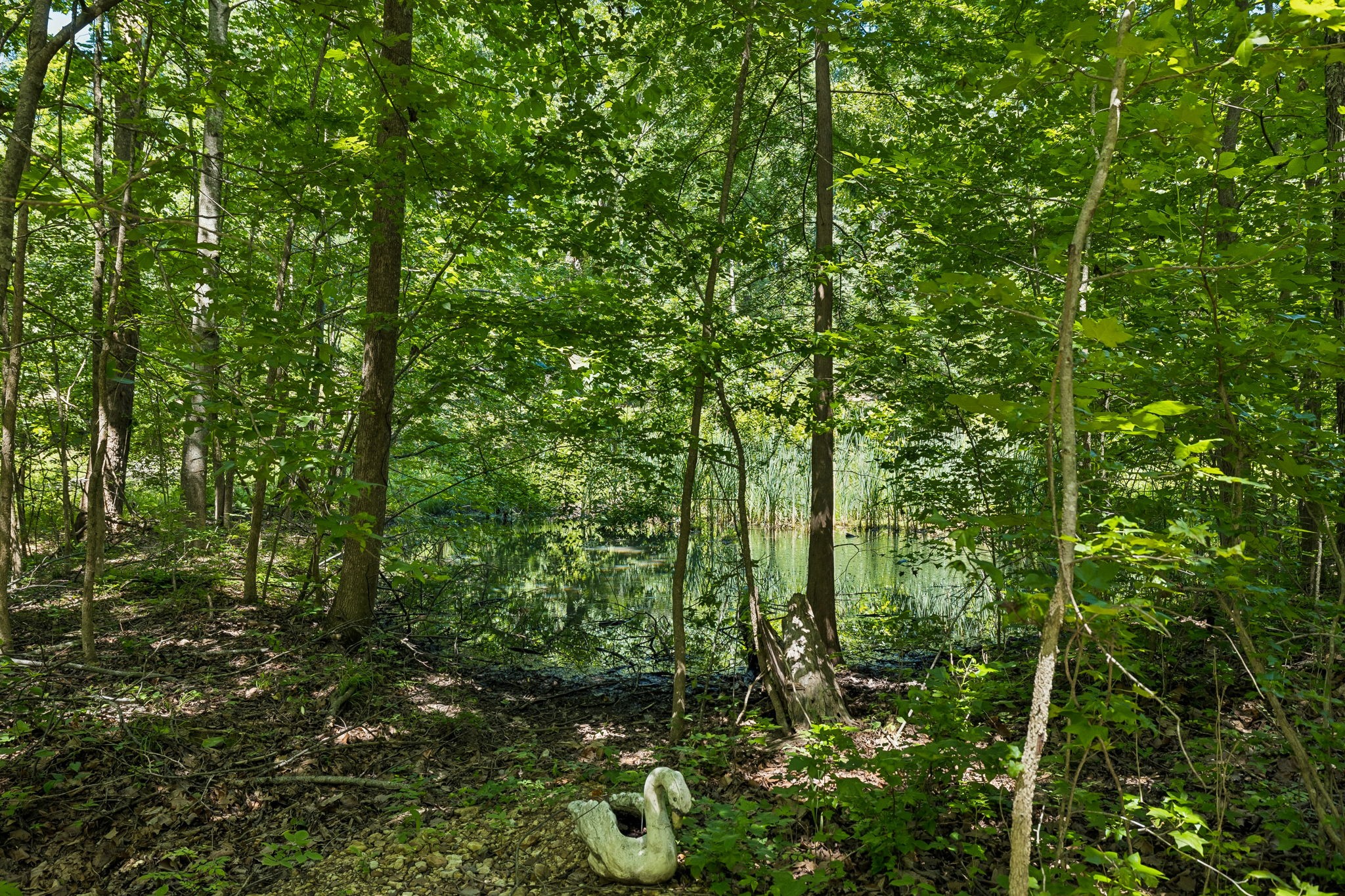 5833 Dewey Carr Road Bethpage, TN 37022 - Photo 33 of 36