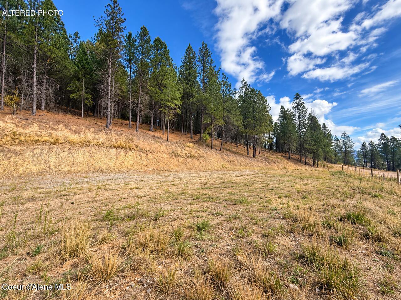 2972 South Fork Ridge Kingston, ID 83839 - Photo 2 of 12 Chat Clean up 3