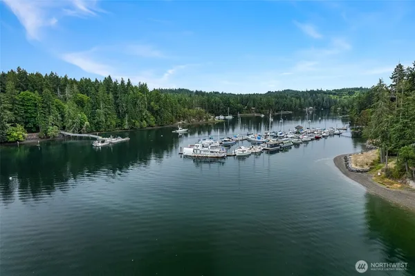 a view of an ocean with boats and trees in the background