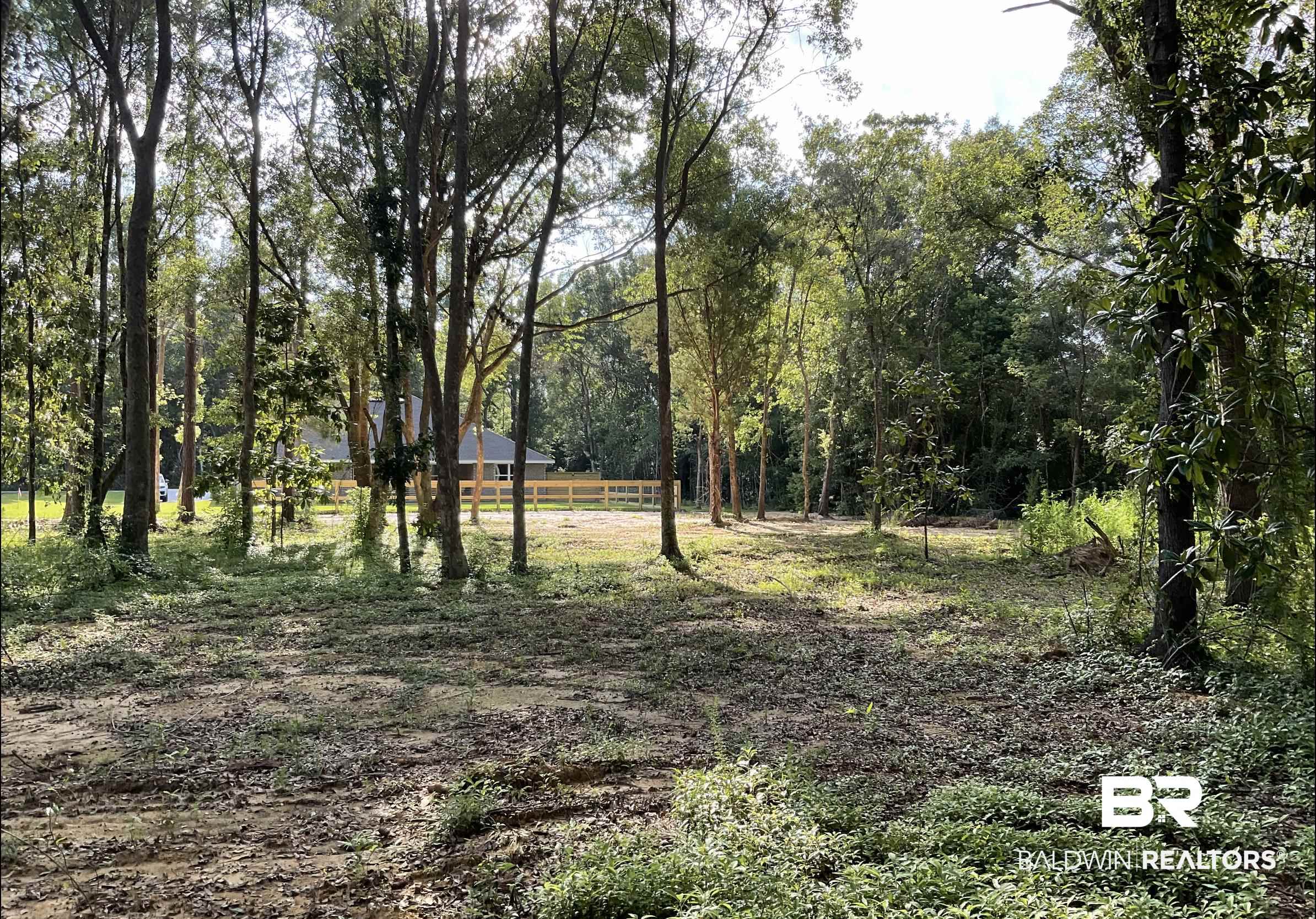 12646 Michigan Avenue Elberta, AL 36530 - Photo 45 of 47 View of wooded area