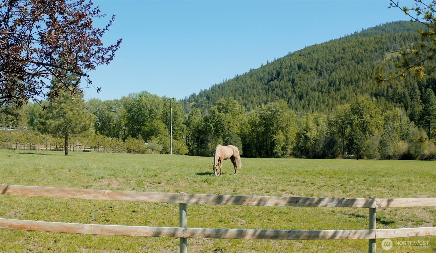639 Twisp River Road Twisp, WA 98856 - Photo 9 of 40