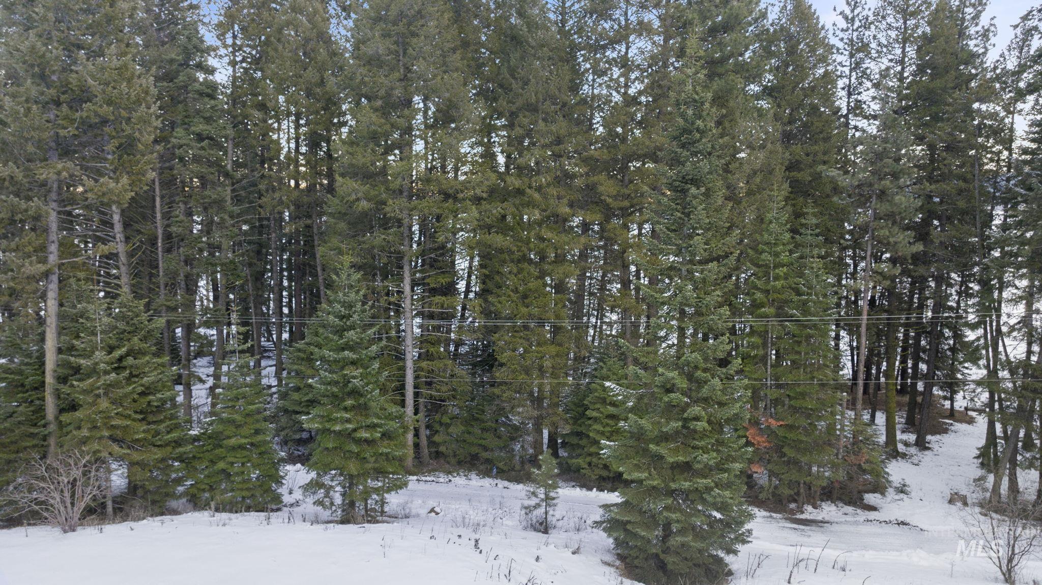 616-618 Teepee Road Cascade, ID 83611 - Photo 20 of 21