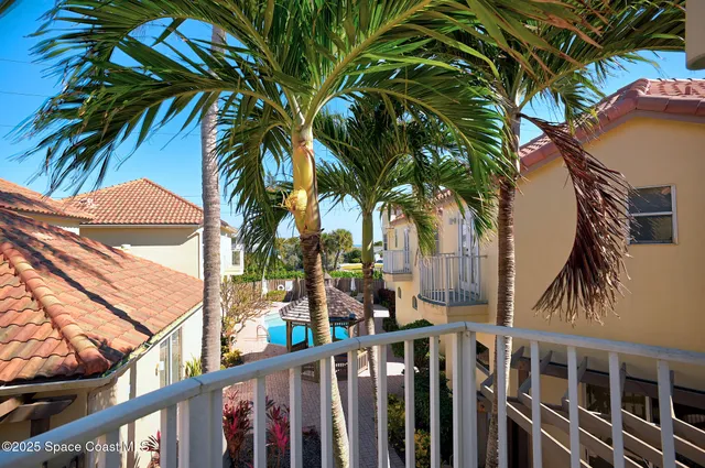 a view of a palm tree with wooden fence