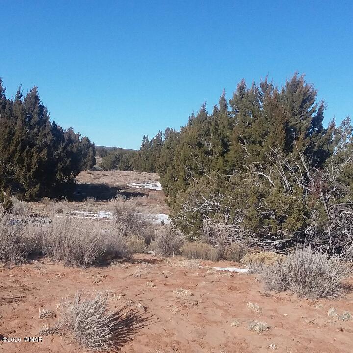St-johns Az 85936 St. Johns, AZ 85936 - Photo 1 of 10 a view of a dry yard with trees in the background