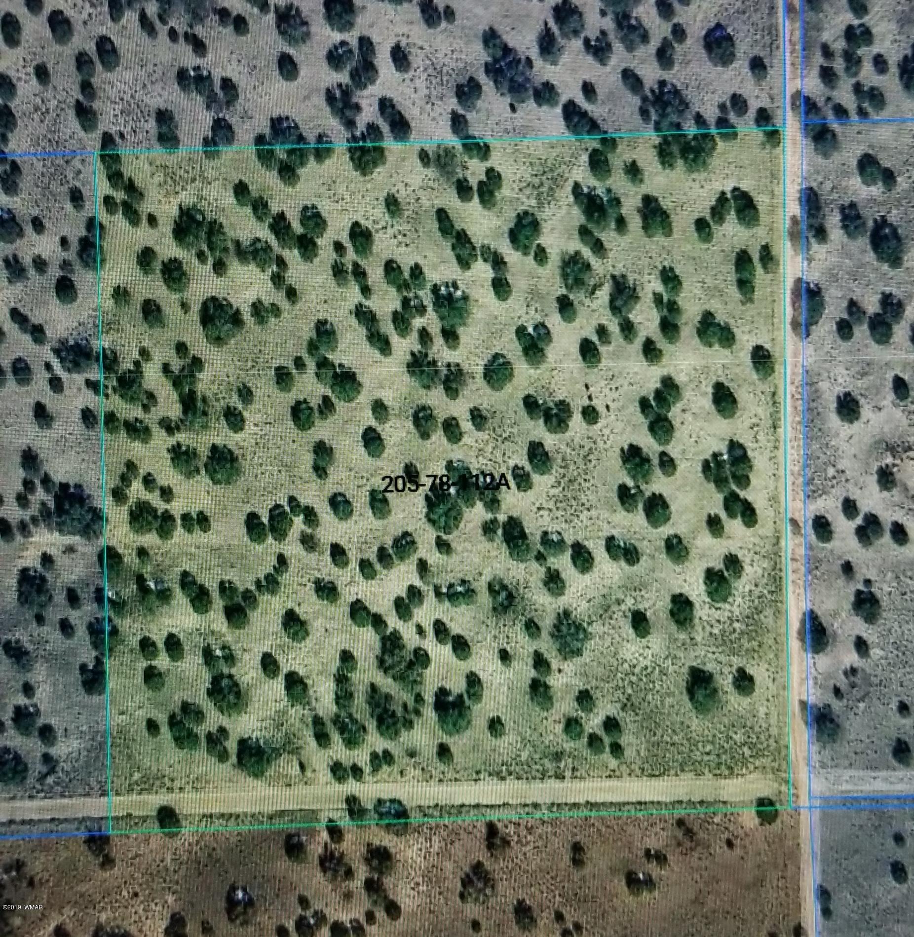 St-johns Az 85936 St. Johns, AZ 85936 - Photo 7 of 10 a view of a garden