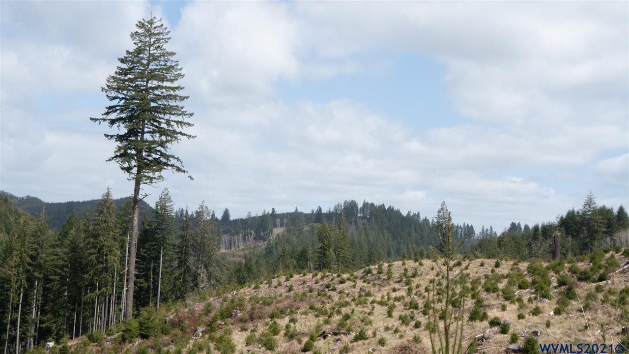 R287435 R287435 Toledo, OR 97391 - Photo 14 of 38 Gallery Image 14