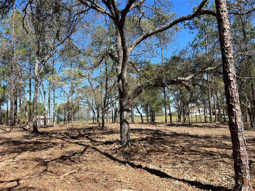 25 Southwest Timberlake Road Dunnellon, FL 34431 - Photo 10 of 27
