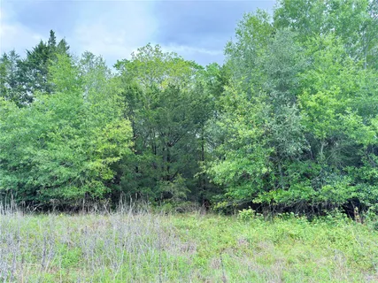 $1,100,000 | 11602 Fm 389, Burton, TX 77835