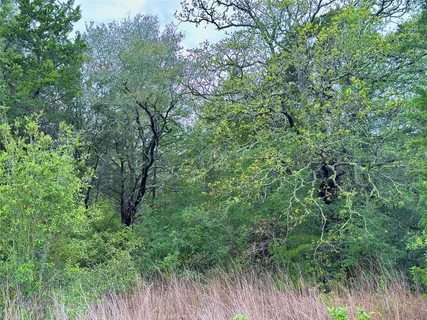 $1,100,000 | 11602 Fm 389, Burton, TX 77835