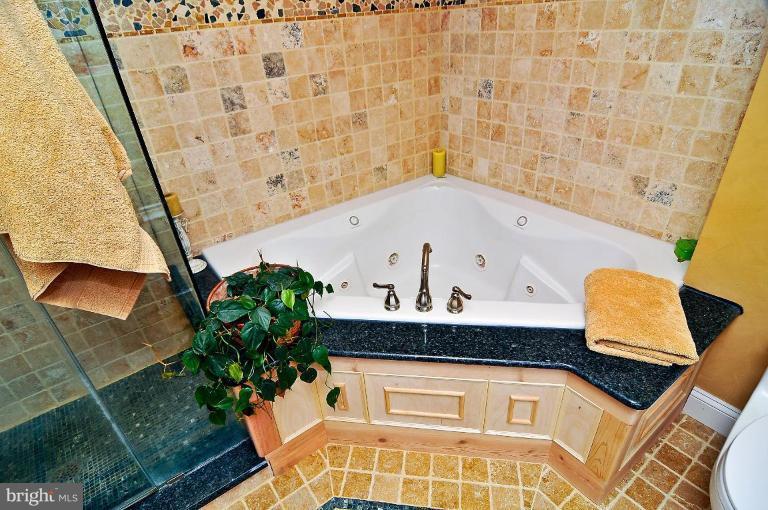 9500 Whiskey Bottom Road Laurel, MD 20723 - Photo 10 of 23 Master Bath