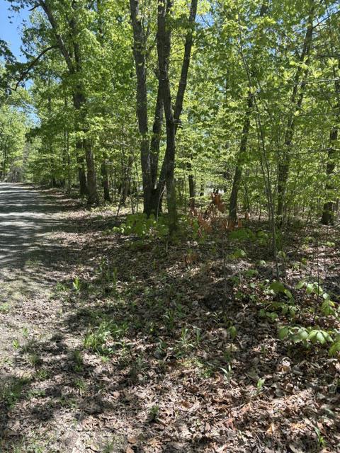 Davis Lane Aroda, VA 22709 - Photo 3 of 4 a view of outdoor space and trees