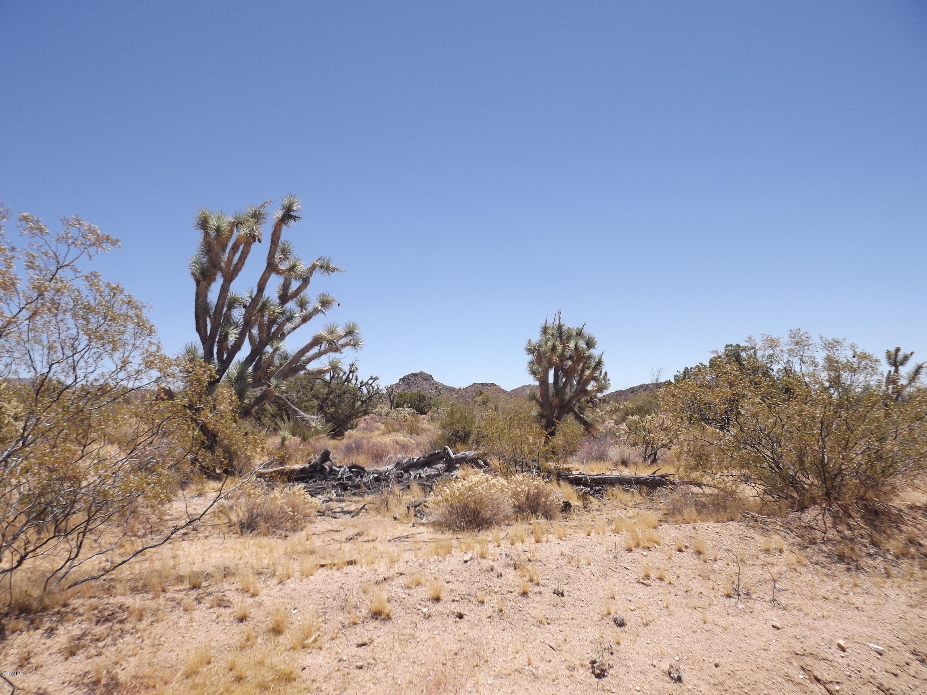 5 Rifle Road Yucca, AZ 86438 - Photo 14 of 14 GV & Yucca listings july 044