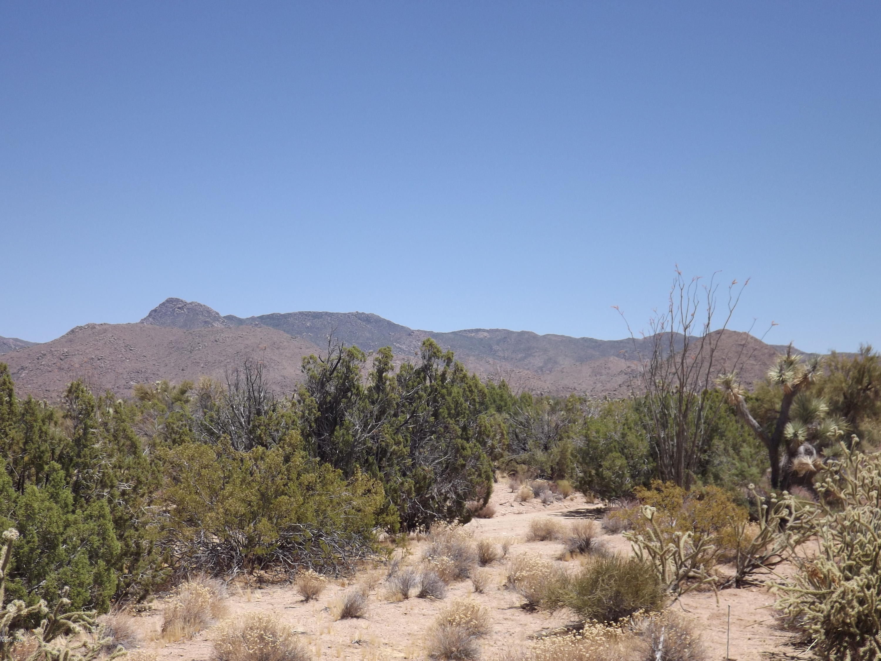 5 Rifle Road Yucca, AZ 86438 - Photo 6 of 14 GV & Yucca listings july 039 - Copy
