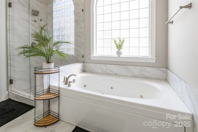 a bathroom with a bathtub and a potted plant