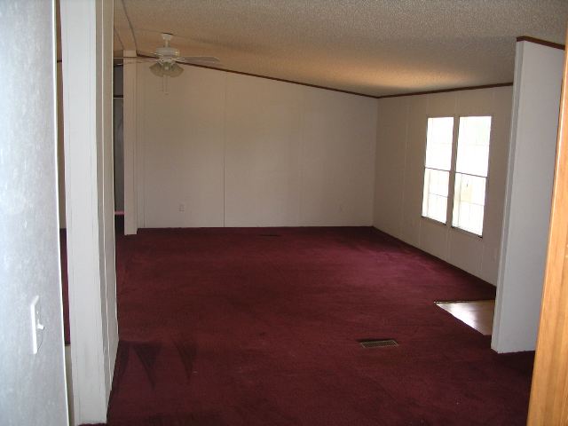 816 Beech Springs Road Pelzer, SC 29669 - Photo 5 of 7