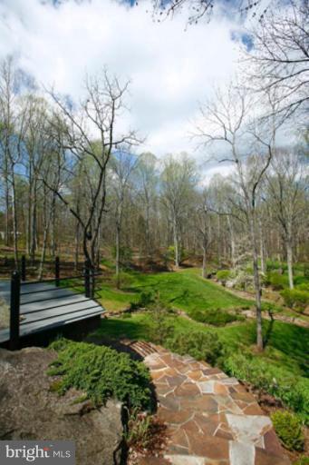 7503 Old Carters Mill Road Marshall, VA 20115 - Photo 6 of 25 Deck - View from