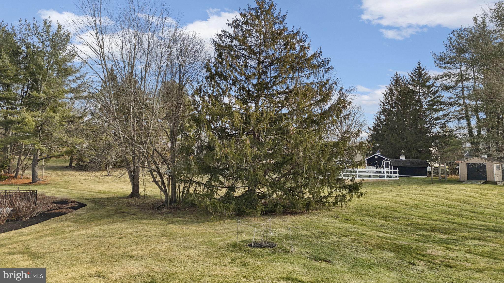 207 Overcreek Road Phoenixville, PA 19460 - Photo 39 of 47 a view of a yard with a tree