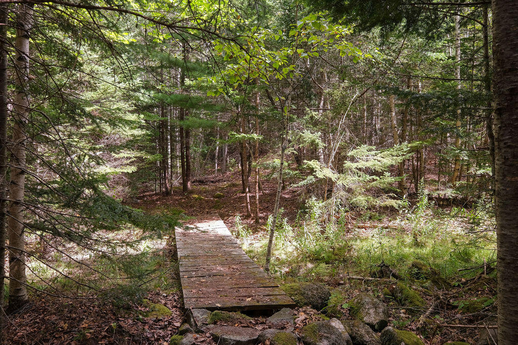 565 Bagaduce Road Brooksville, ME 04617 - Photo 58 of 68 565BagaduceRd2-60