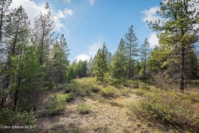 $799,000 | 9067 West Coeur D'Alene Drive, Spirit Lake, ID 83869