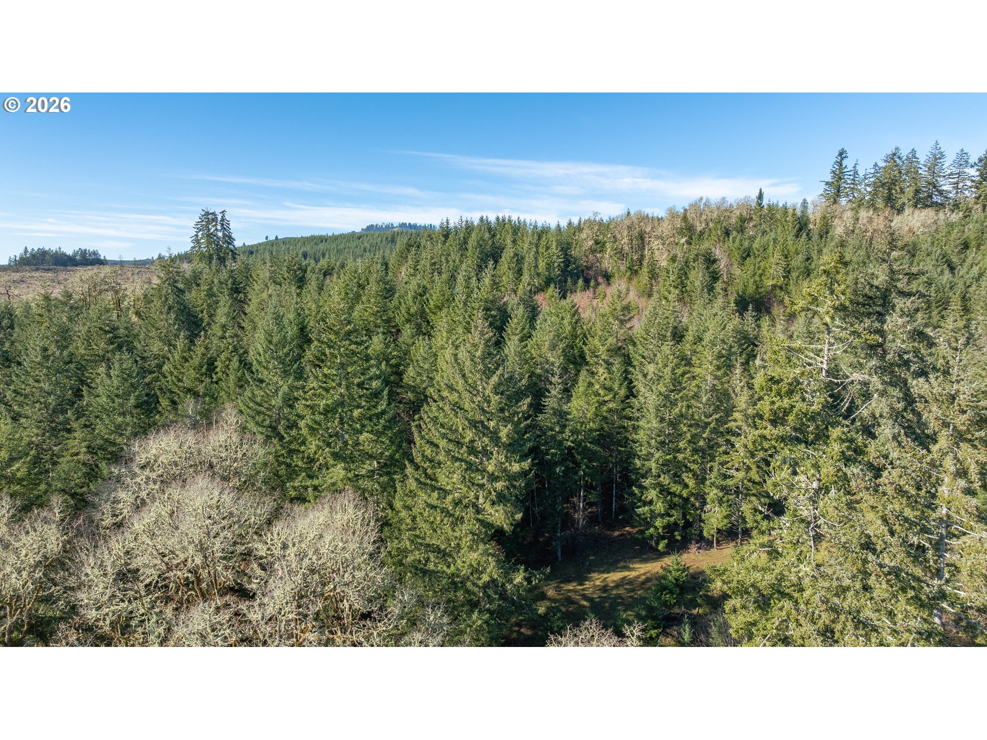 42480 Southwest Fort Hill Road Willamina, OR 97396 - Photo 35 of 35 a view of a green field